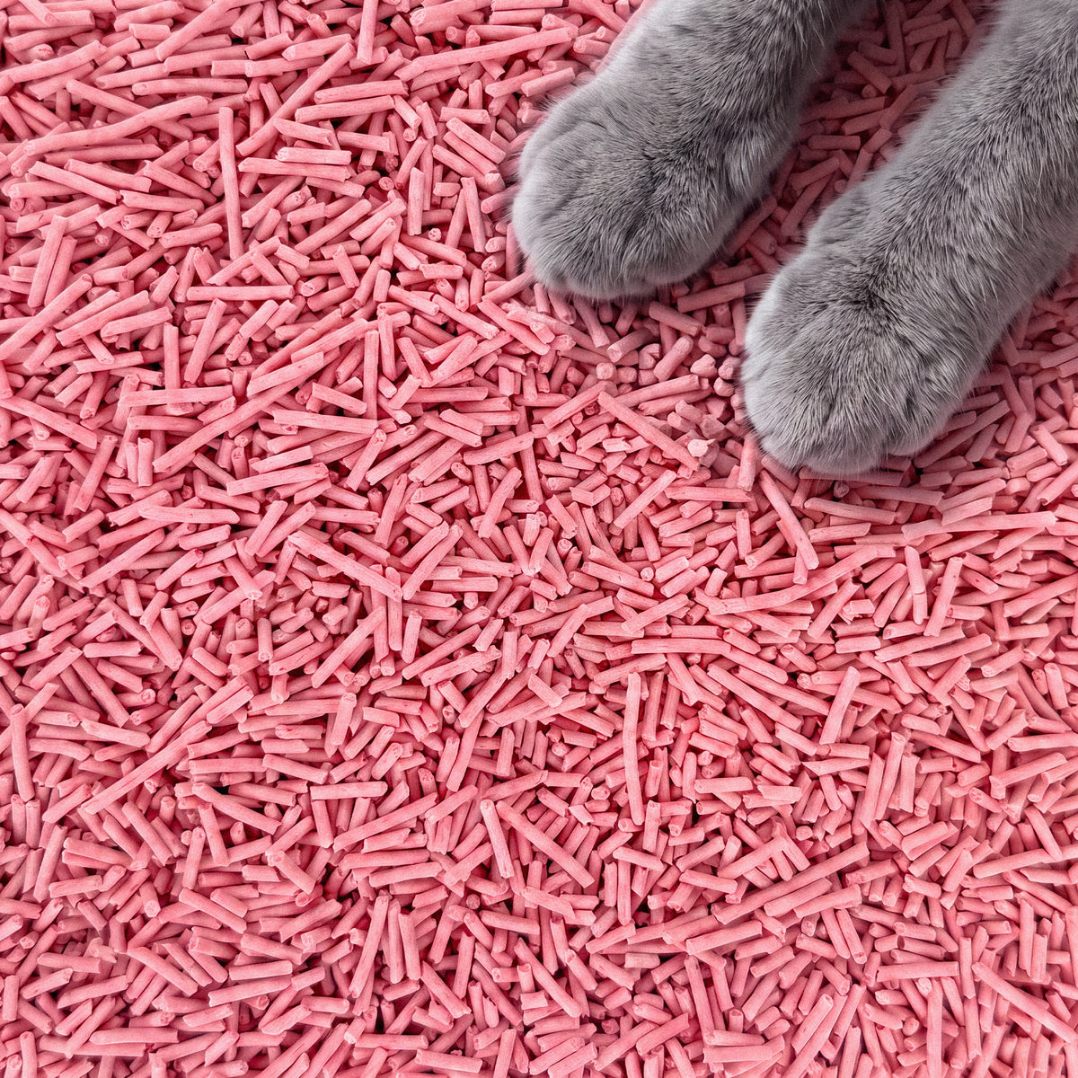 Watermelon Tofu Litter