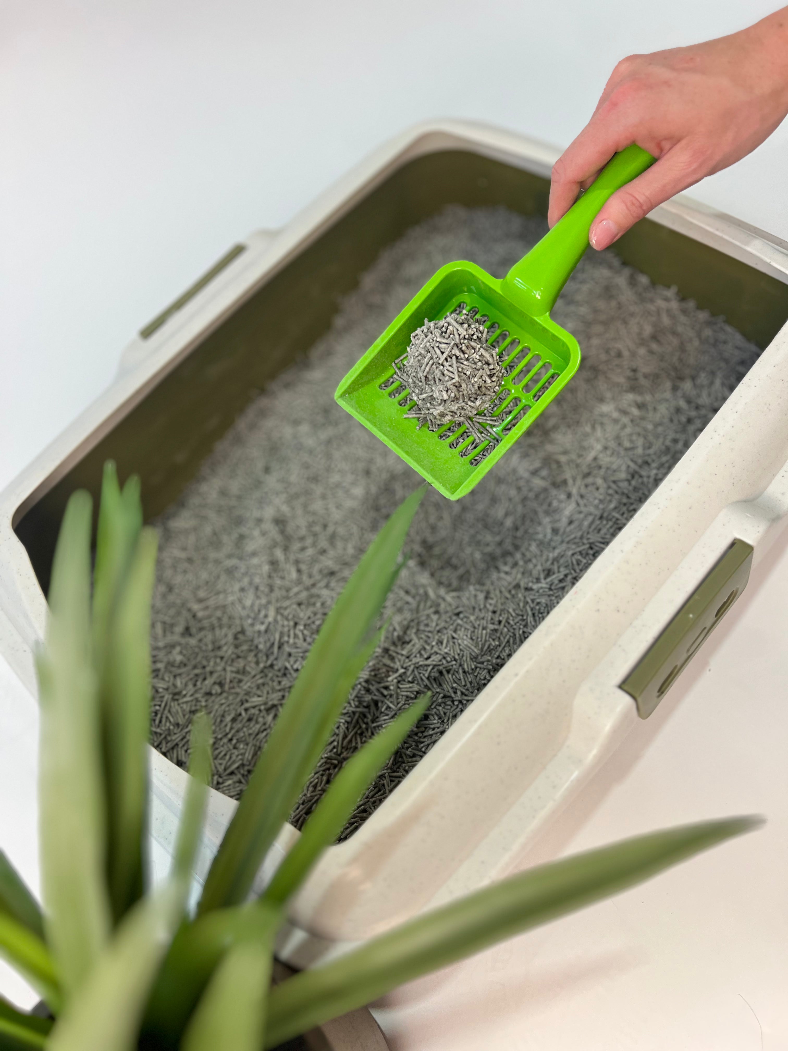 Tofu Litter