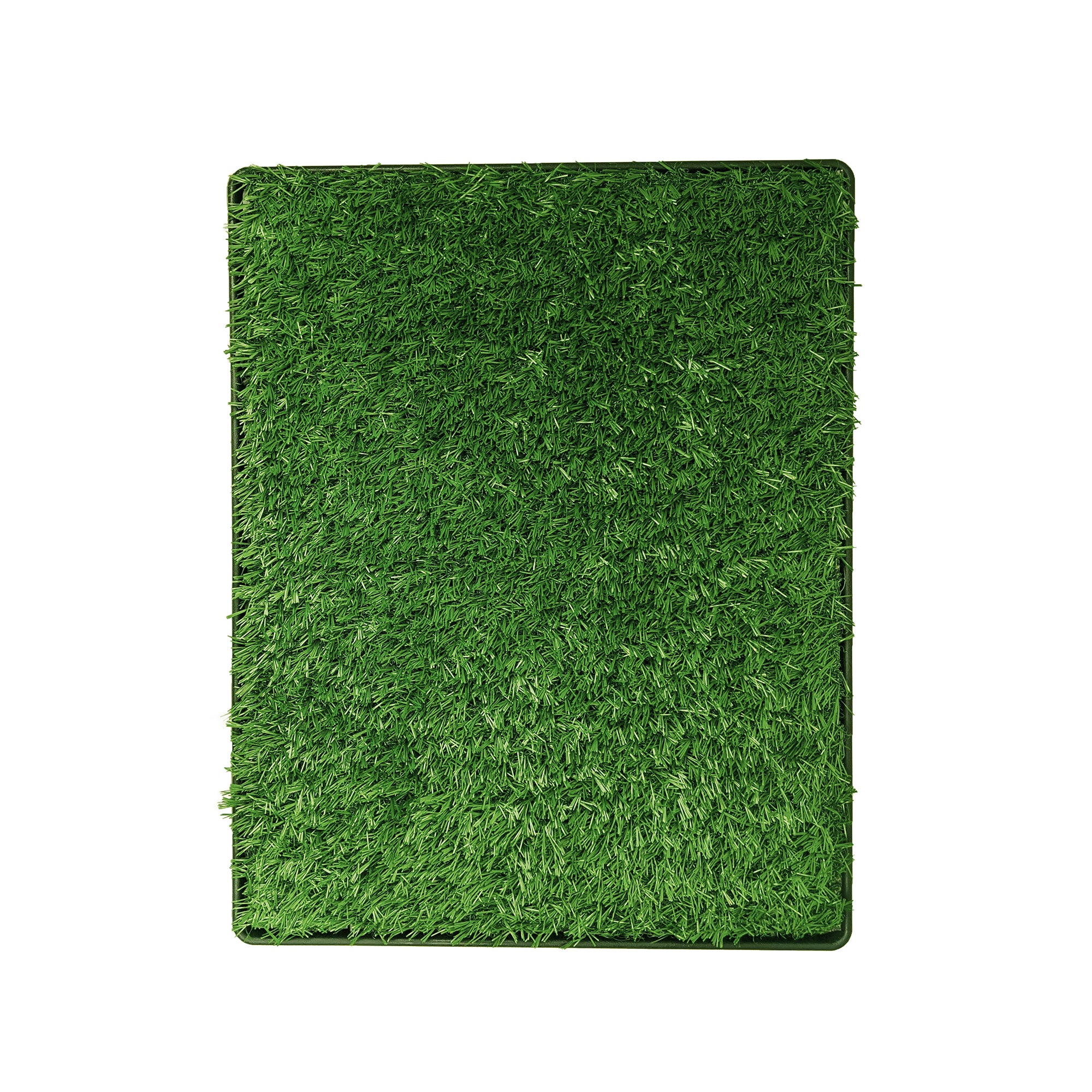 Portable Potty Grass Patch