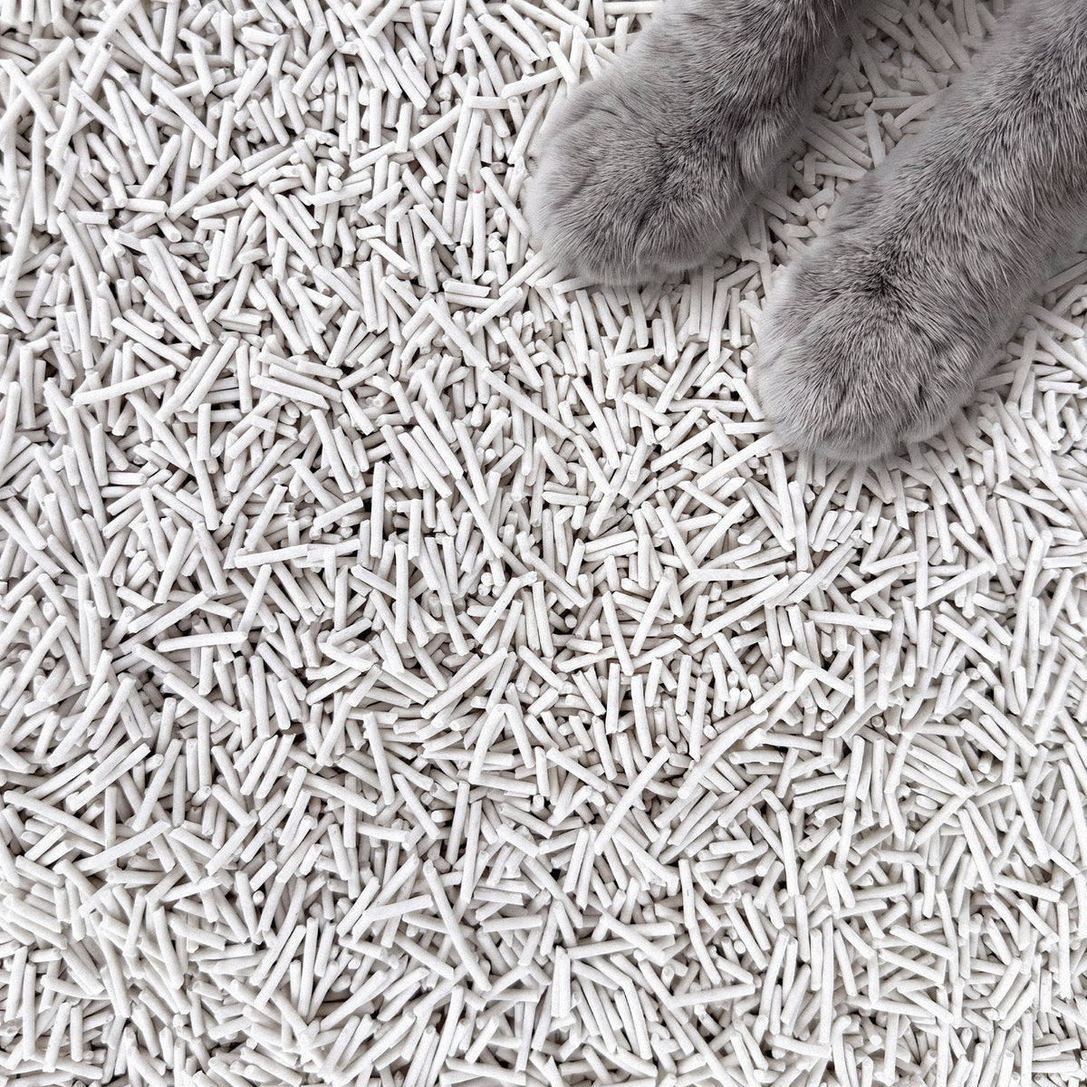 Baby Powder Tofu Litter
