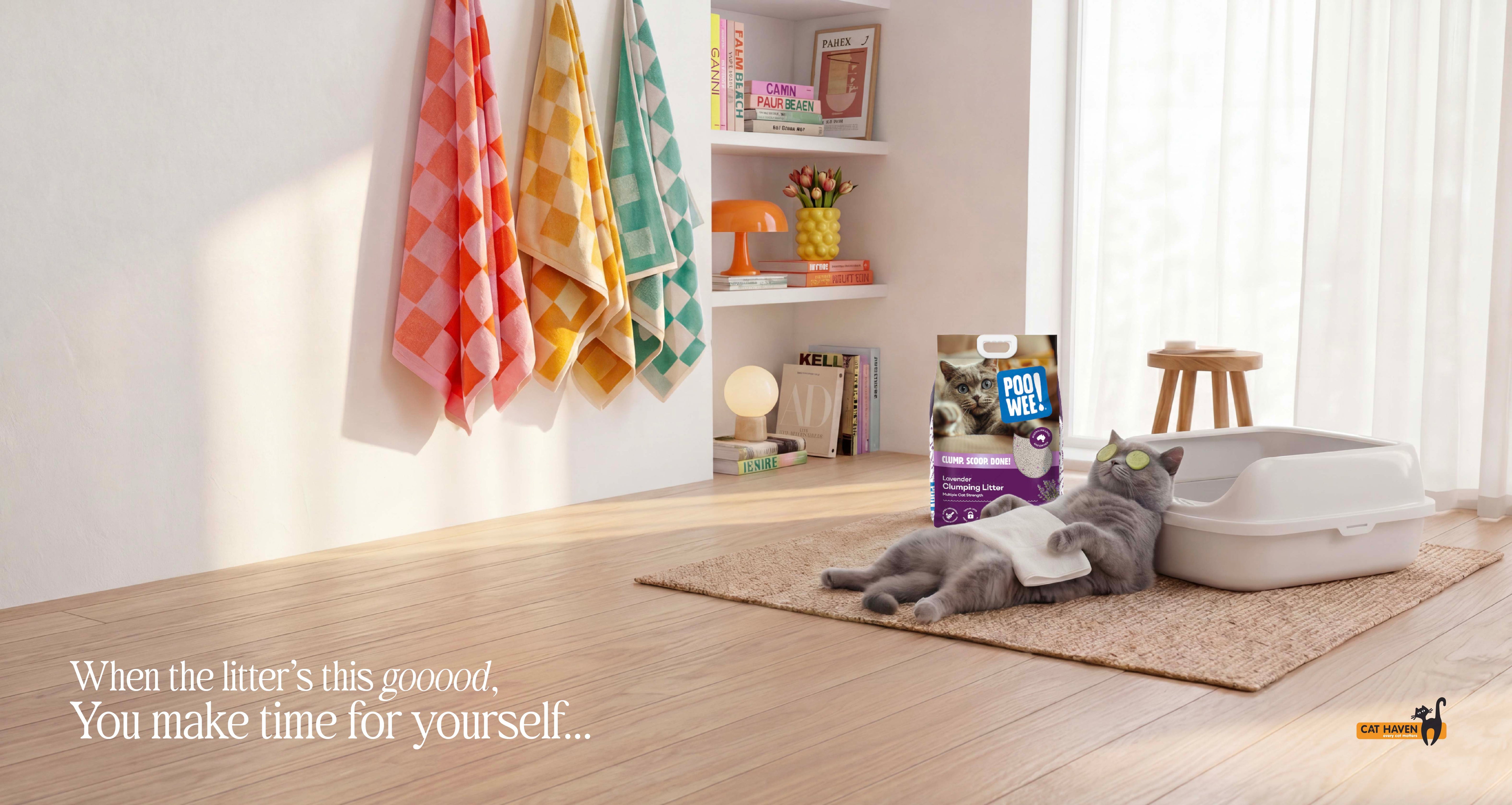 Cat lying on a rug next to a litter box in a bright room with colorful towels and books.
